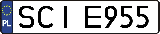 SCIE955