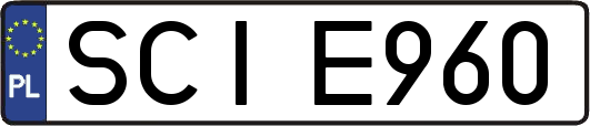 SCIE960