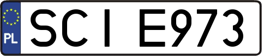 SCIE973