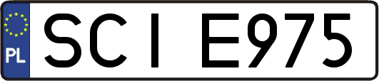 SCIE975