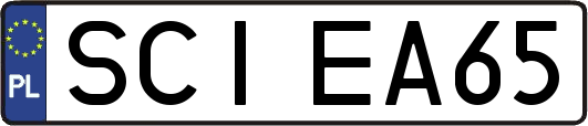 SCIEA65