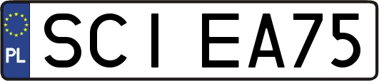 SCIEA75