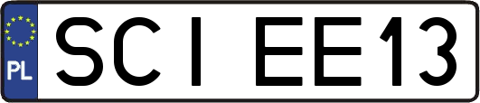 SCIEE13
