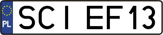 SCIEF13