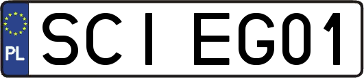 SCIEG01