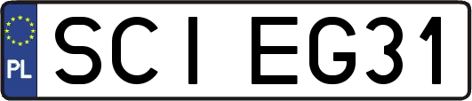SCIEG31