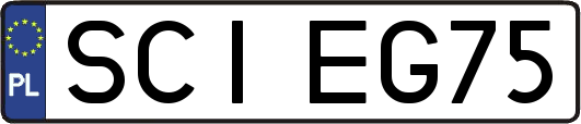 SCIEG75