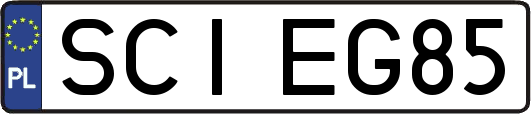 SCIEG85