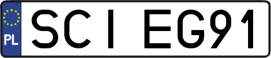 SCIEG91