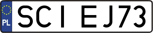 SCIEJ73