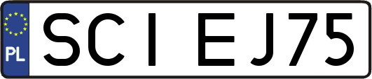 SCIEJ75