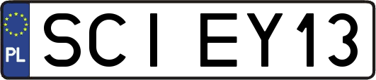 SCIEY13