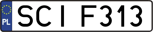 SCIF313