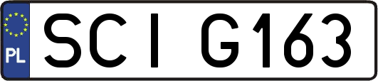 SCIG163