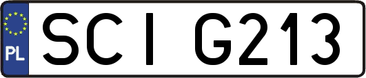 SCIG213