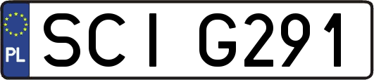 SCIG291