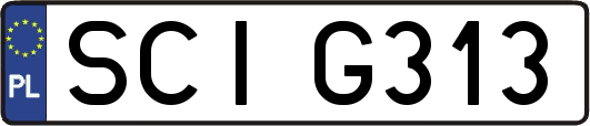 SCIG313