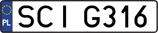 SCIG316