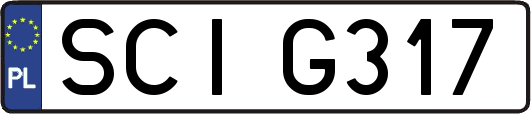 SCIG317
