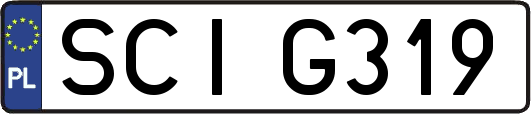 SCIG319