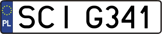 SCIG341