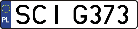 SCIG373