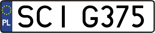 SCIG375
