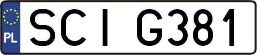 SCIG381