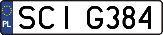 SCIG384