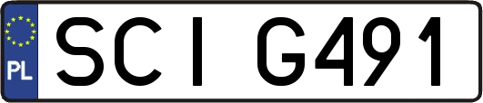SCIG491