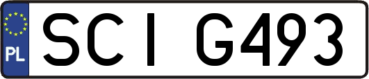 SCIG493