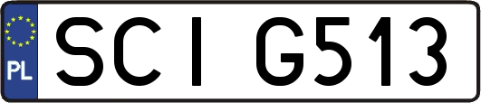 SCIG513
