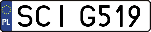 SCIG519