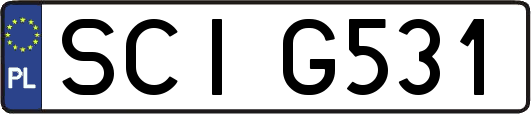SCIG531