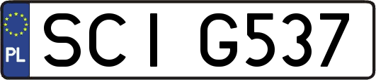 SCIG537