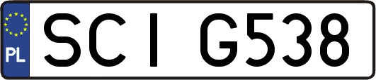 SCIG538