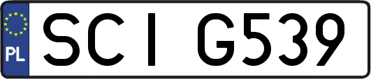 SCIG539