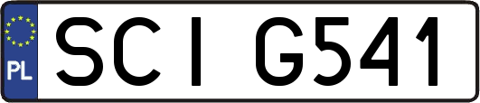 SCIG541