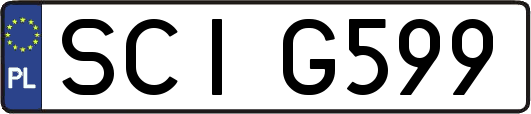 SCIG599