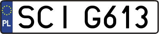 SCIG613