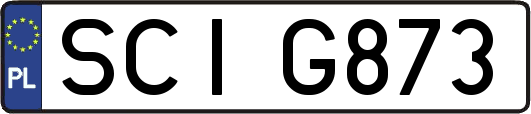 SCIG873