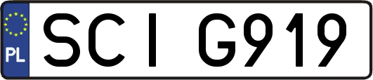 SCIG919