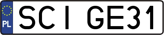 SCIGE31