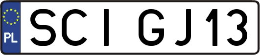 SCIGJ13