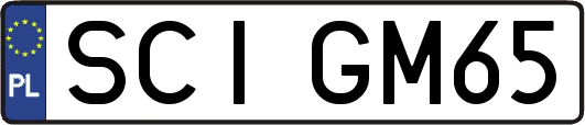 SCIGM65