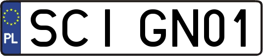 SCIGN01