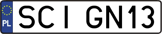 SCIGN13