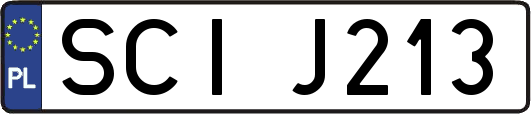 SCIJ213