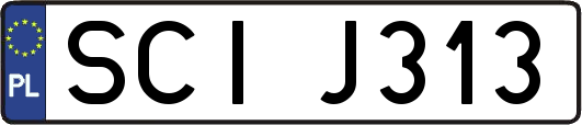 SCIJ313