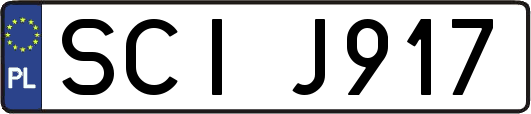 SCIJ917